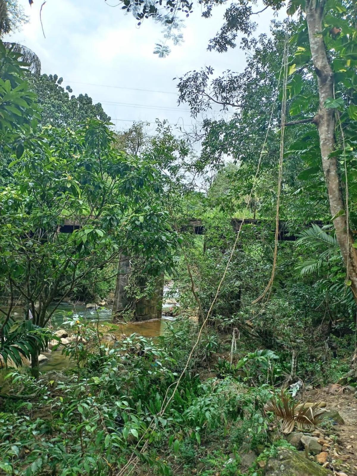 Old Bridge Riverside Hotel Kitulgala Exterior foto