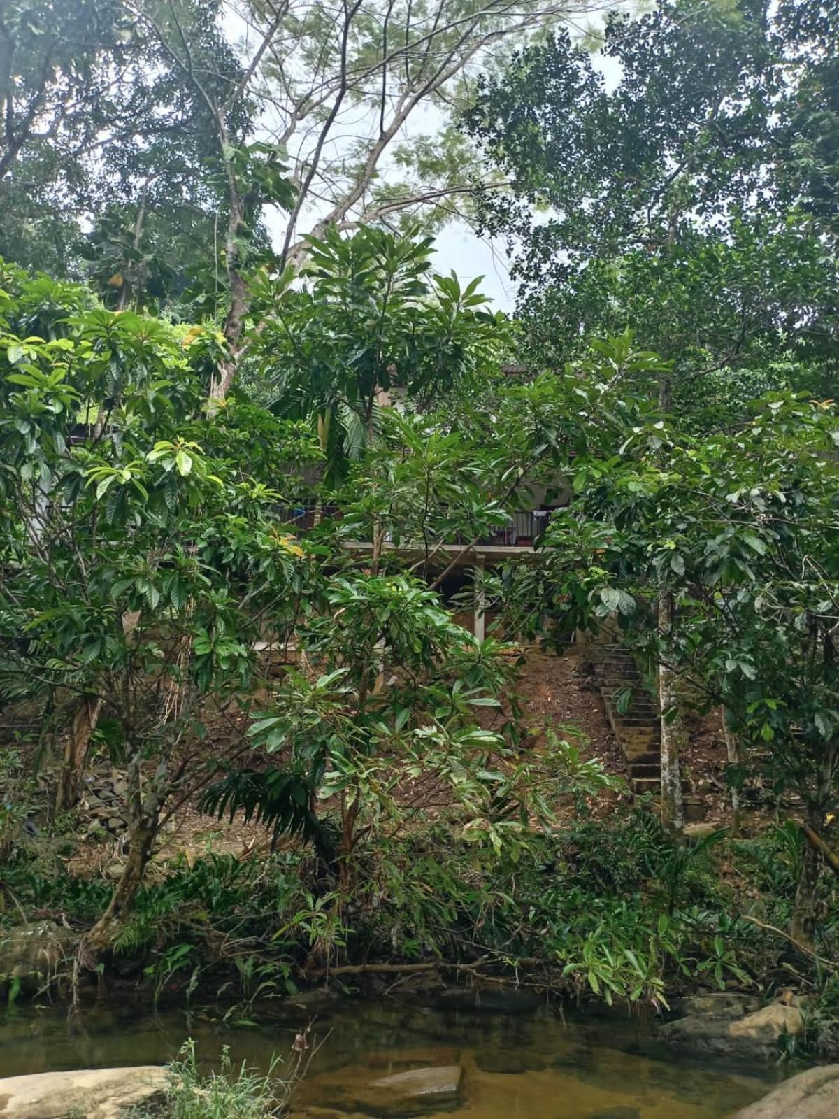 Old Bridge Riverside Hotel Kitulgala Exterior foto